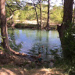 Meet your Posher, Hudson